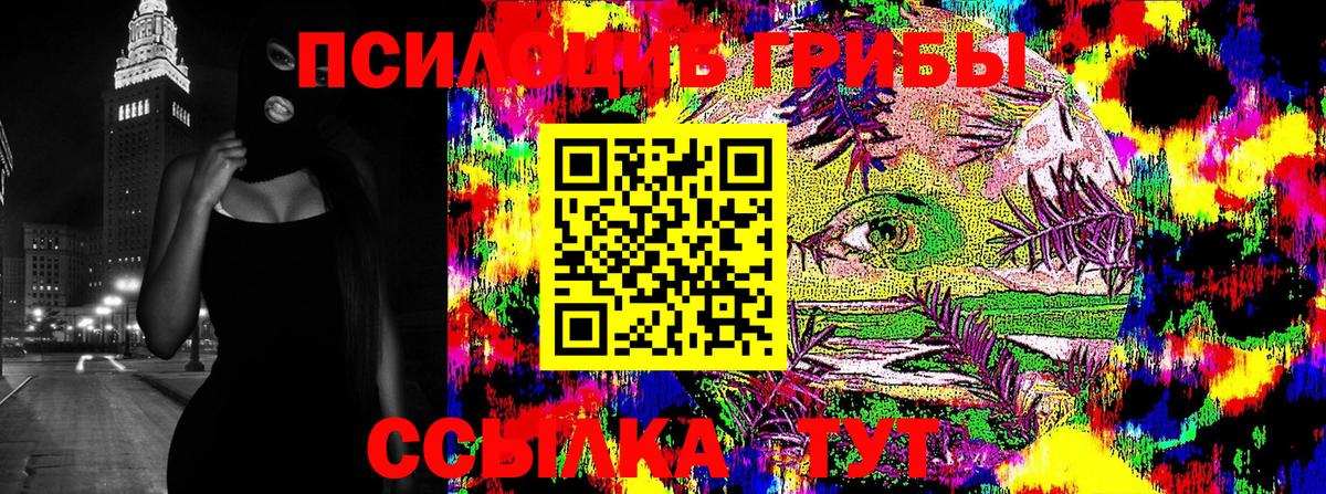Холмск  Галлюциногенные грибы Psilocybine cubensis  где можно купить   Вход с VPN 